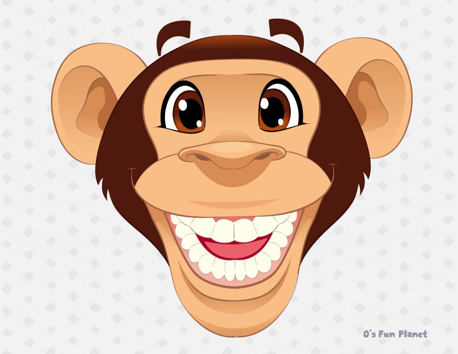 刷牙動物－猴子
