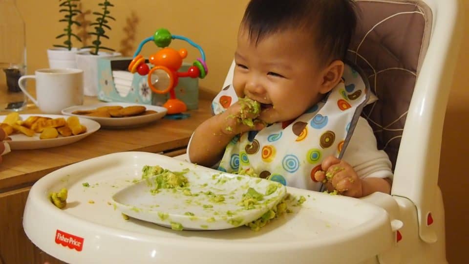 小寶寶吃酪梨