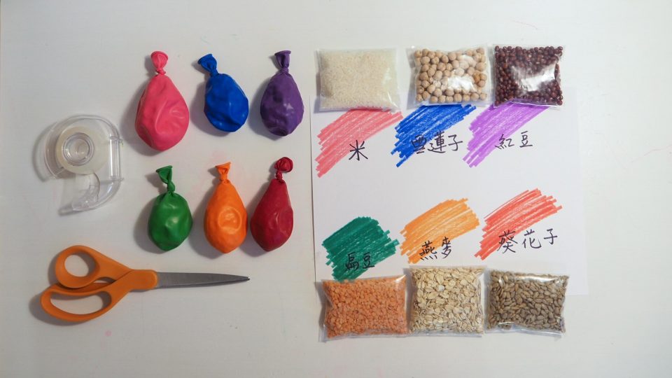 氣球（六個不同顏色）、六種堅果或豆類、漏斗、塑膠袋、彩色筆、紙