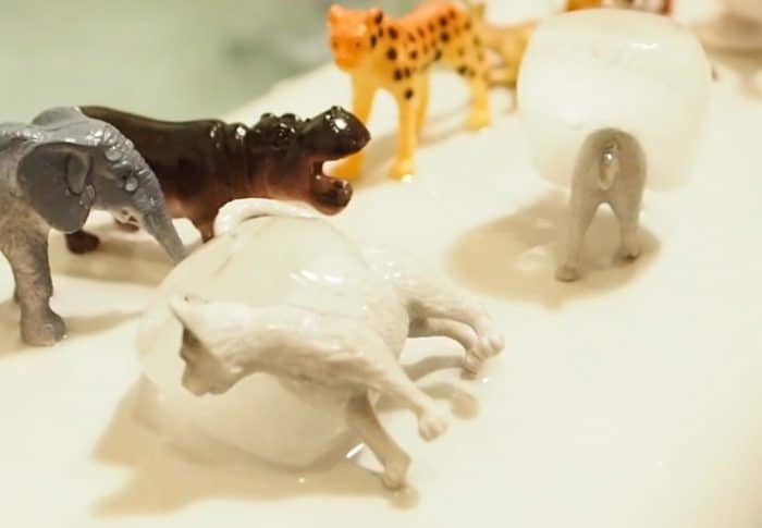 DIY 洗澡玩具 -動物冰塊