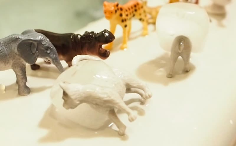 DIY 洗澡玩具 -動物冰塊 DIY Animal Ice Cube