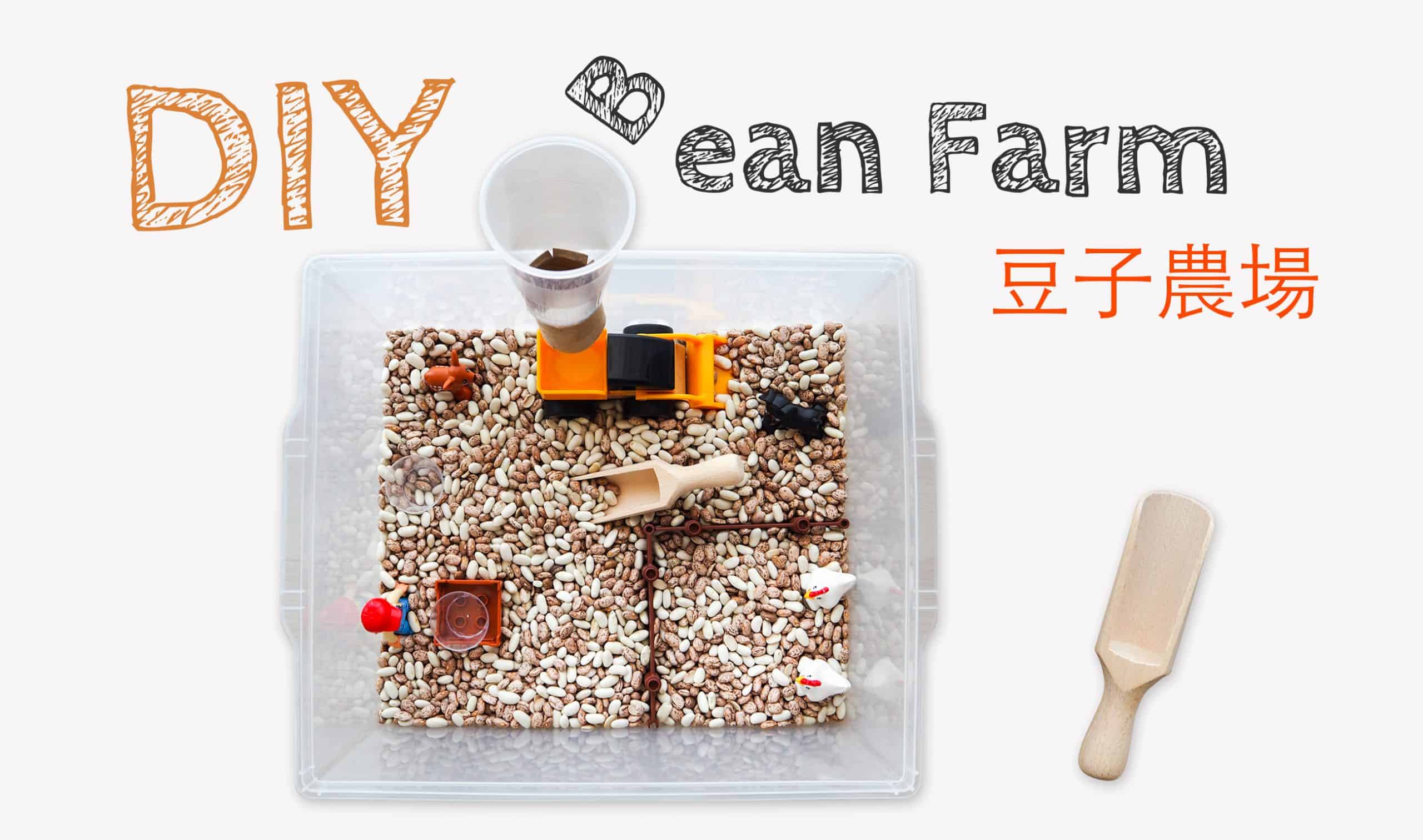 DIY 豆子農場 DIY Bean Farm